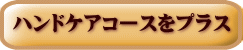 眼精疲労コースをプラス