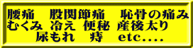 腰痛 股関節痛 恥骨の痛み むくみ 冷え 便秘 産後太り 尿もれ 痔 etc....
